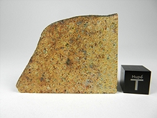 NWA 3143 Diogenite Meteorite