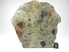 NWA 3149 Howardite Meteorite