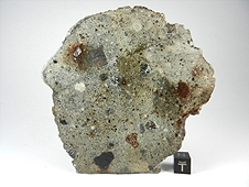 NWA 3149 Howardite Meteorite