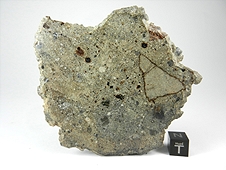 NWA 3149 Howardite Meteorite