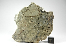 NWA 3149 Howardite Meteorite