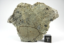 NWA 3149 Howardite Meteorite