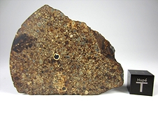 NWA 3161 LL3.7 Chondrite Meteorite