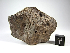 NWA 3161 LL3.7 Chondrite Meteorite