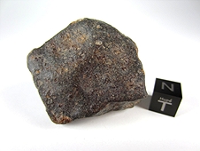 NWA 3161 LL3.7 Chondrite Meteorite