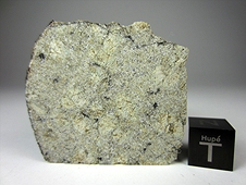 NWA 4468 Martian Shergottite Meteorite