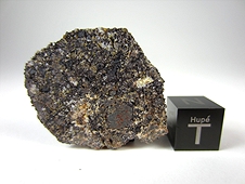 NWA 4801 Angrite Meteorite