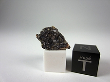 NWA 4801 Angrite Meteorite