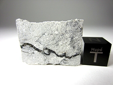 NWA 482 Lunar Impact Melt Breccia Meteorite