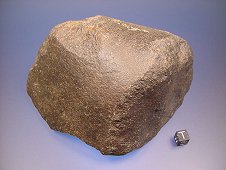 NWA 4882 Brachinite Meteorite