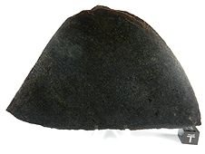 NWA 4882 Brachinite Meteorite