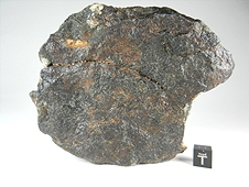 NWA 4931 Angrite Meteorite
