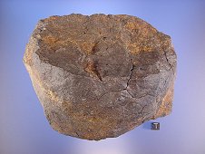 NWA 5400 Ungrouped Achondrite Meteorite