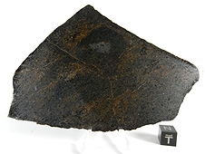 NWA 5400 Ungrouped Achondrite Meteorite