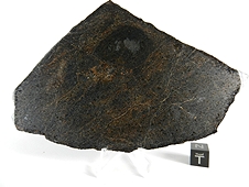 NWA 5400 Ungrouped Achondrite Meteorite