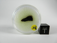NWA 5400 Ungrouped Achondrite Meteorite