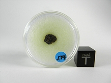 NWA 5400 Ungrouped Achondrite Meteorite