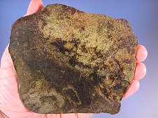 NWA 5480 Olivine Diogenite Meteorite