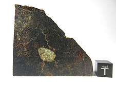 NWA 5480 Olivine Diogenite Meteorite