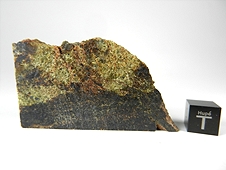 NWA 5480 Olivine Diogenite Meteorite