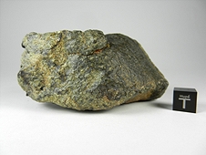 NWA 5480 Olivine Diogenite Meteorite