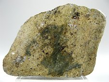 NWA 6566 Shocked Eucrite Meteorite