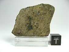 NWA 6566 Shocked Eucrite Meteorite