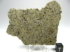 NWA 6704 Ungrouped Achondrite Meteorite