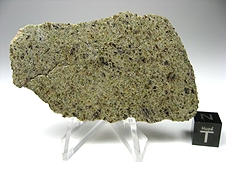 NWA 6704 Ungrouped Achondrite Meteorite