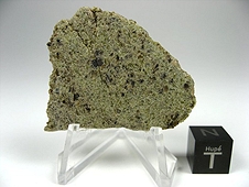 NWA 6704 Ungrouped Achondrite Meteorite