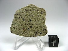 NWA 6704 Ungrouped Achondrite Meteorite