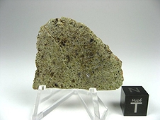 NWA 6704 Ungrouped Achondrite Meteorite