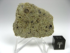 NWA 6704 Ungrouped Achondrite Meteorite