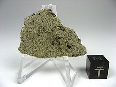 NWA 6704 Ungrouped Achondrite Meteorite