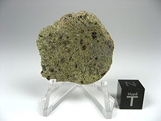 NWA 6704 Ungrouped Achondrite Meteorite