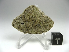 NWA 6704 Ungrouped Achondrite Meteorite