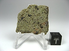 NWA 6704 Ungrouped Achondrite Meteorite