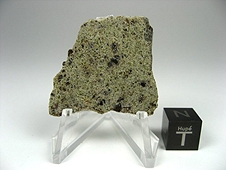 NWA 6704 Ungrouped Achondrite Meteorite