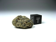 NWA 6704 Ungrouped Achondrite Meteorite