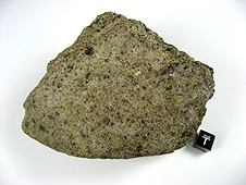 NWA 6704 Ungrouped Achondrite Meteorite