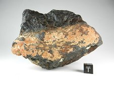 NWA 6705 Angrite Meteorite