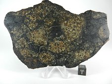 NWA 6706 L6 Melt Breccia Meteorite