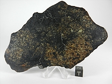NWA 6706 L6 Melt Breccia Meteorite