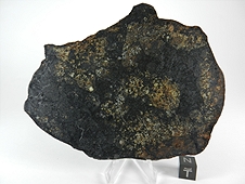NWA 6706 L6 Melt Breccia Meteorite