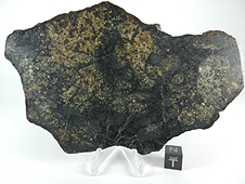 NWA 6706 L6 Melt Breccia Meteorite