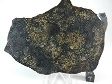 NWA 6706 L6 Melt Breccia Meteorite