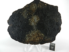 NWA 6706 L6 Melt Breccia Meteorite