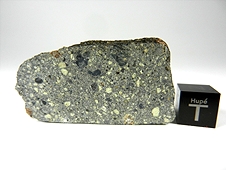 NWA 6707 Polymict Eucrite Meteorite