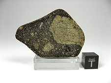 NWA 7007 Lunar Gabbro Breccia Meteorite