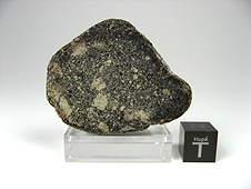 NWA 7007 Lunar Gabbro Breccia Meteorite